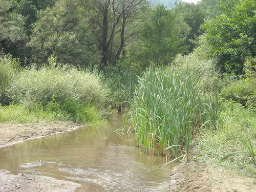 Planina Kukavica