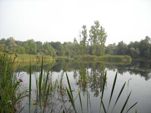 Planina Kukavica