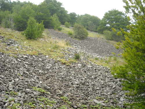 Planina Kukavica