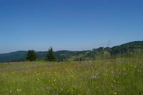 Planina Kukavica