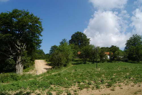 Planina Kukavica