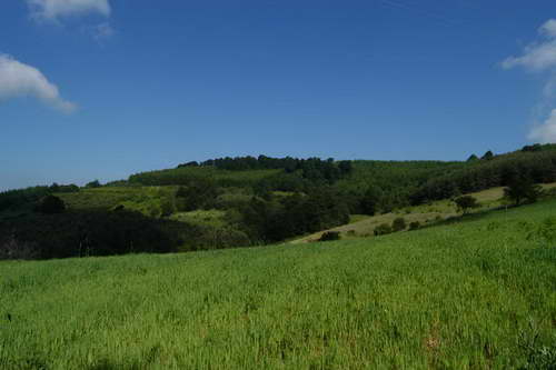 Planina Kukavica