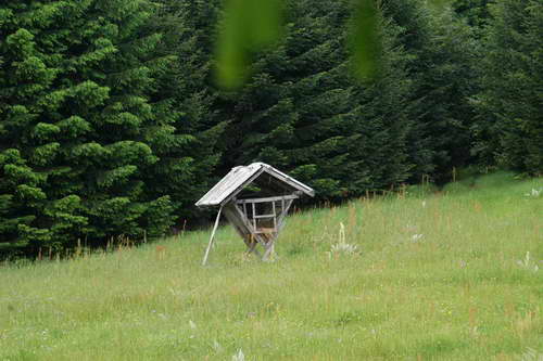 Planina Kukavica