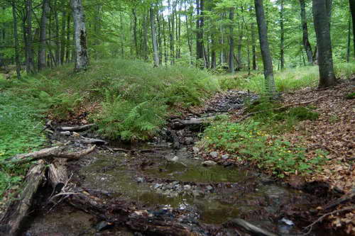 Planina Kukavica