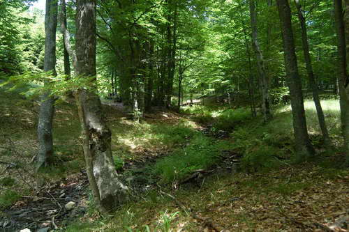 Planina Kukavica