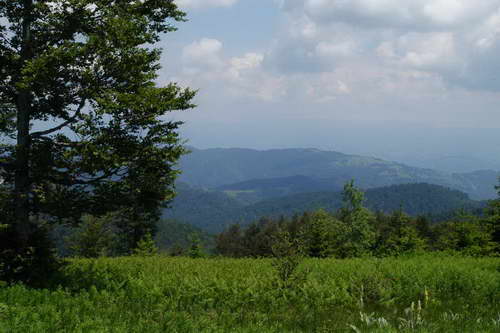 Planina Kukavica