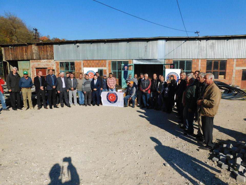 Podela sadnica novembar 2015