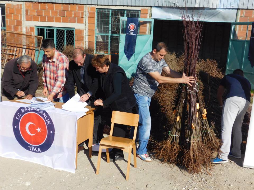 Podela sadnica novembar 2015